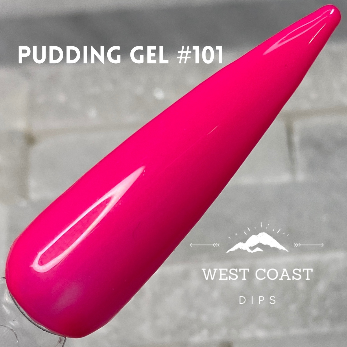 Pudding Gel 101 West Coast Dips