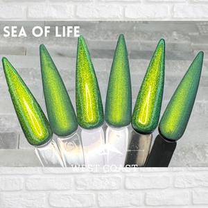 Sea of Life