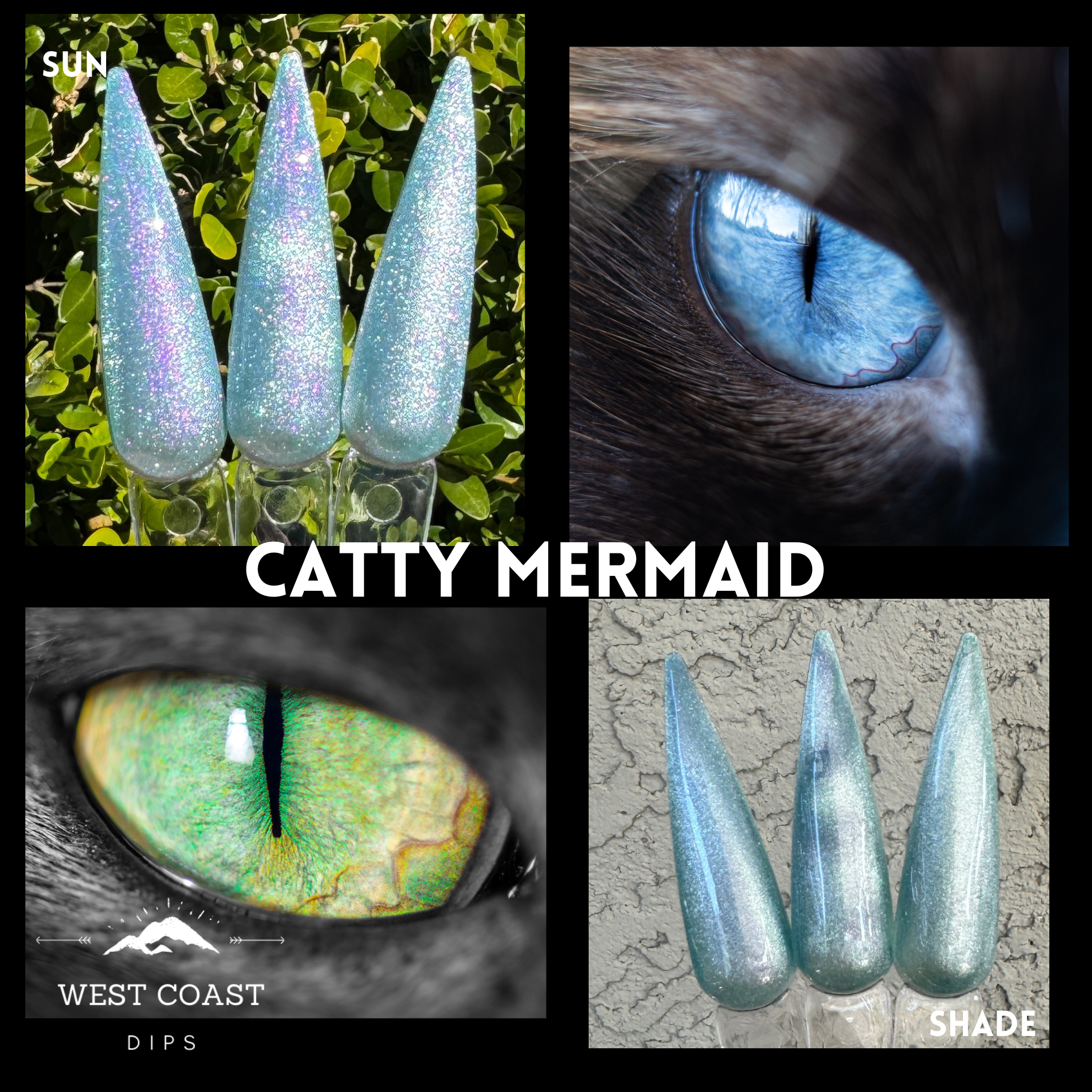 Catty Mermaid