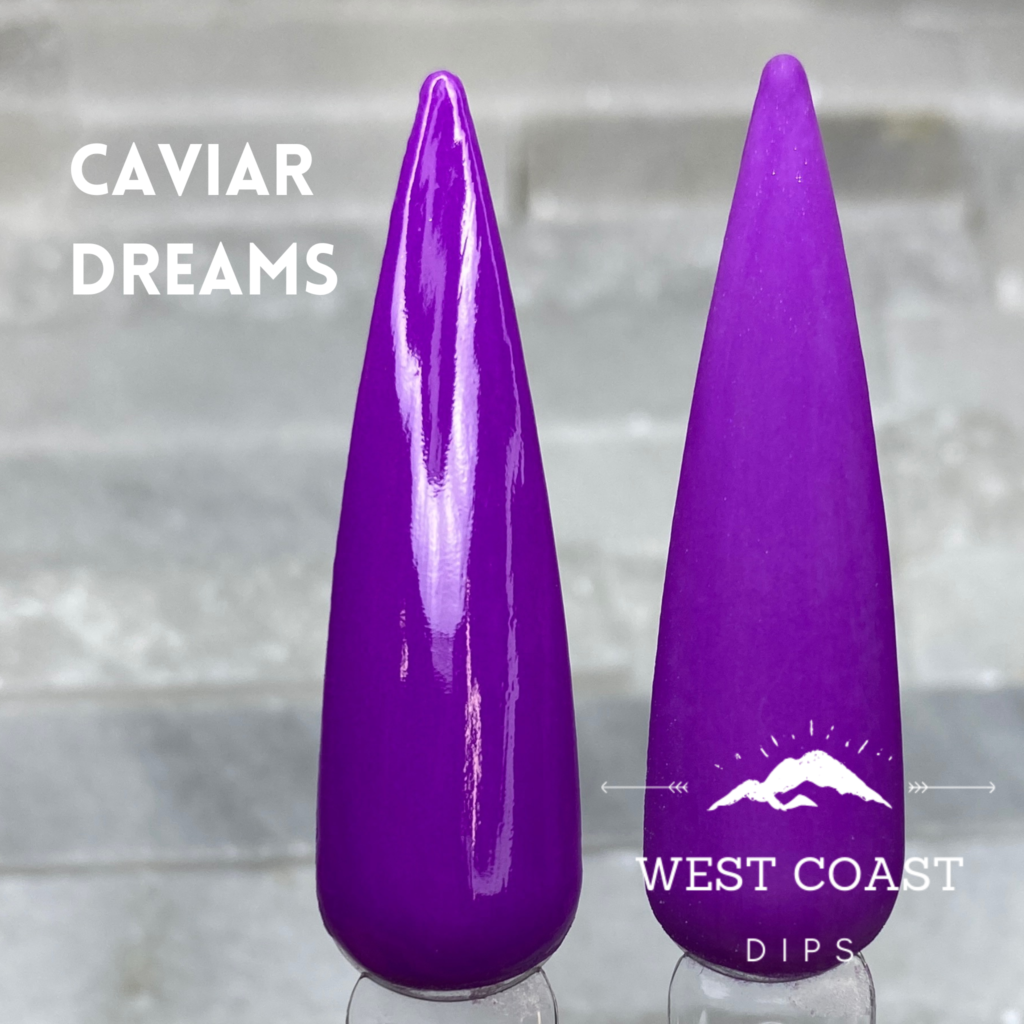 Mermaid Wishes and Caviar Dreams Dip Powders (2 Dips)