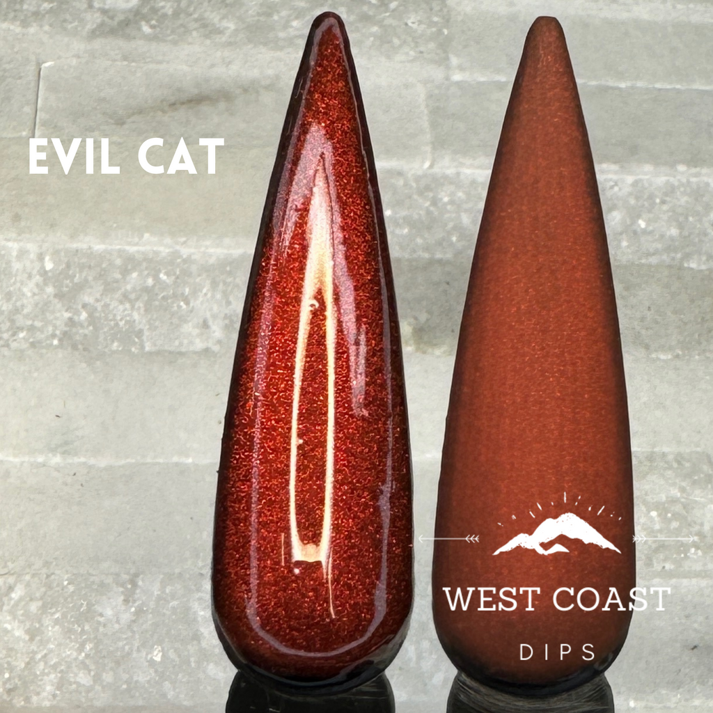 Evil Cat