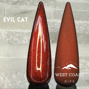 Evil Cat