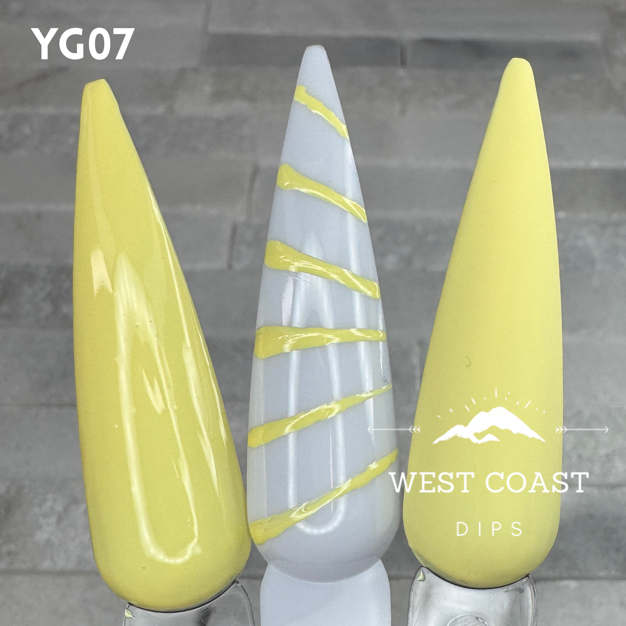 West Coast Dips Ultra Pigmented Fine Brush Nail Art Gel Liners