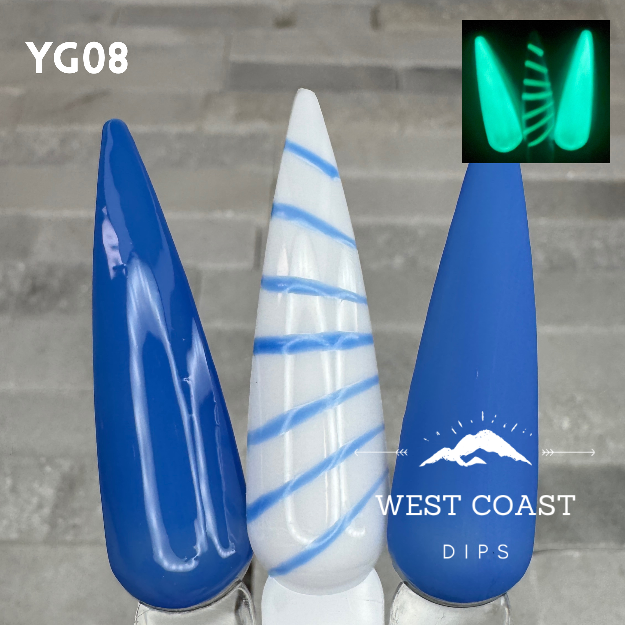 West Coast Dips Ultra Pigmented Fine Brush Nail Art Gel Liners