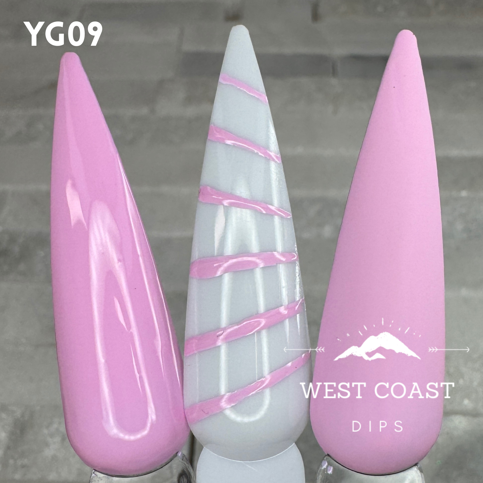 West Coast Dips Ultra Pigmented Fine Brush Nail Art Gel Liners