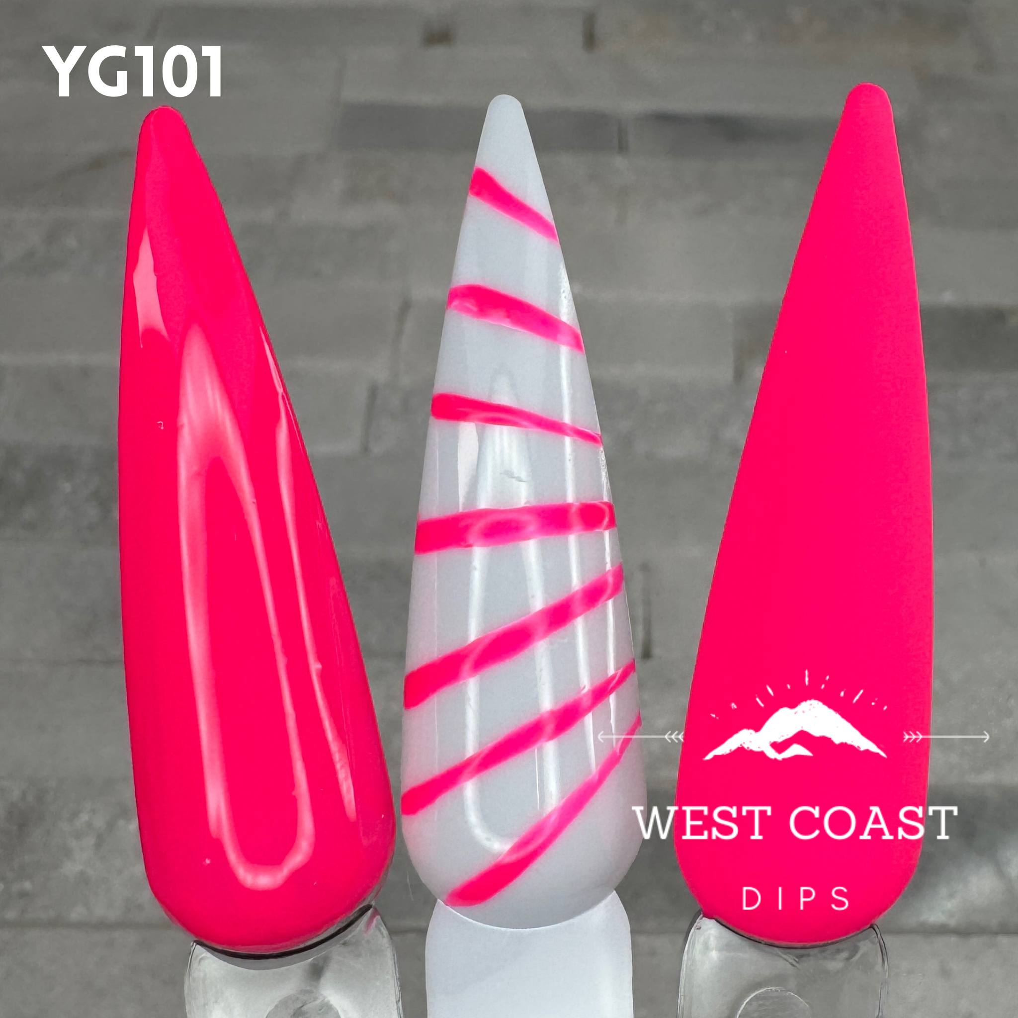 West Coast Dips Ultra Pigmented Fine Brush Nail Art Gel Liners
