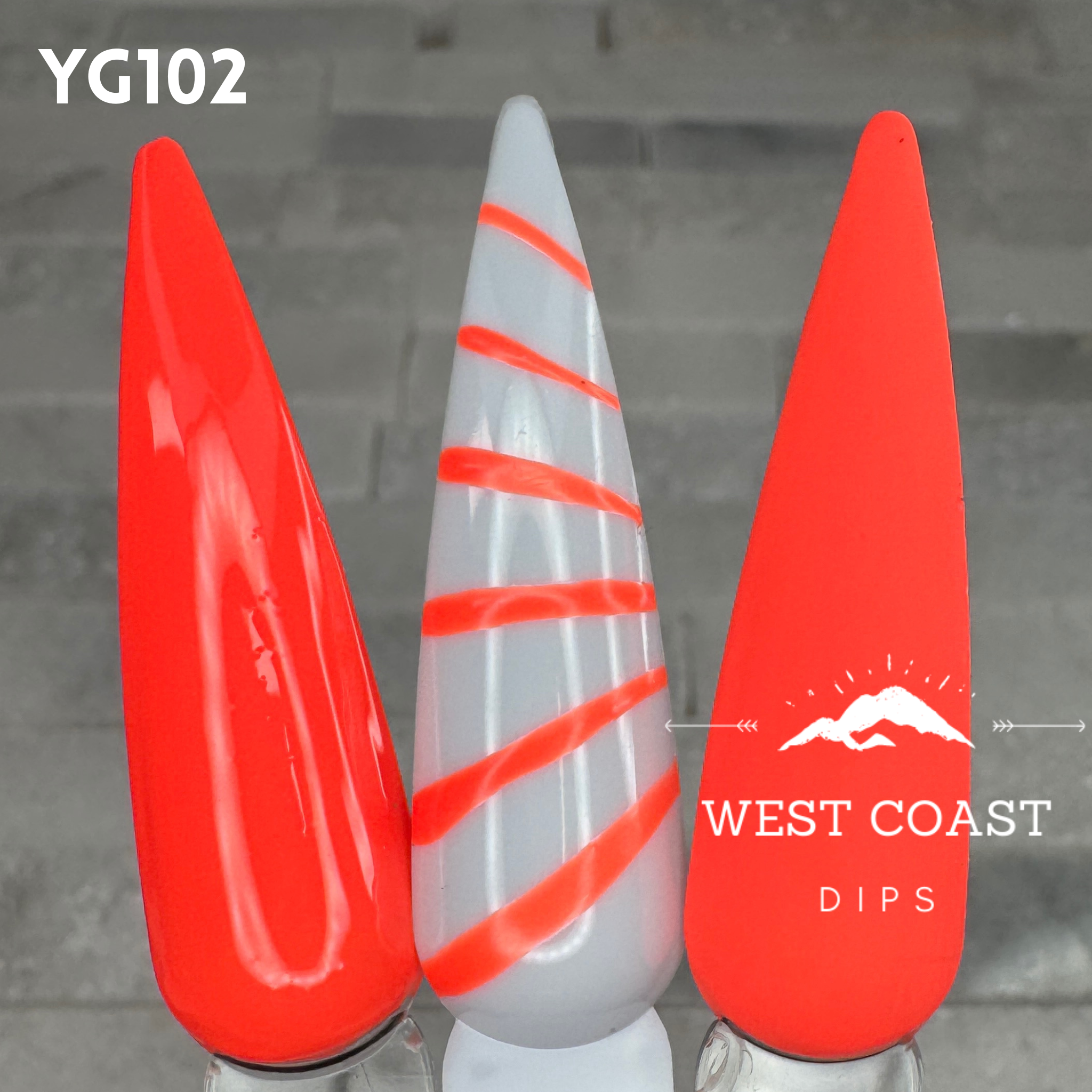 West Coast Dips Ultra Pigmented Fine Brush Nail Art Gel Liners