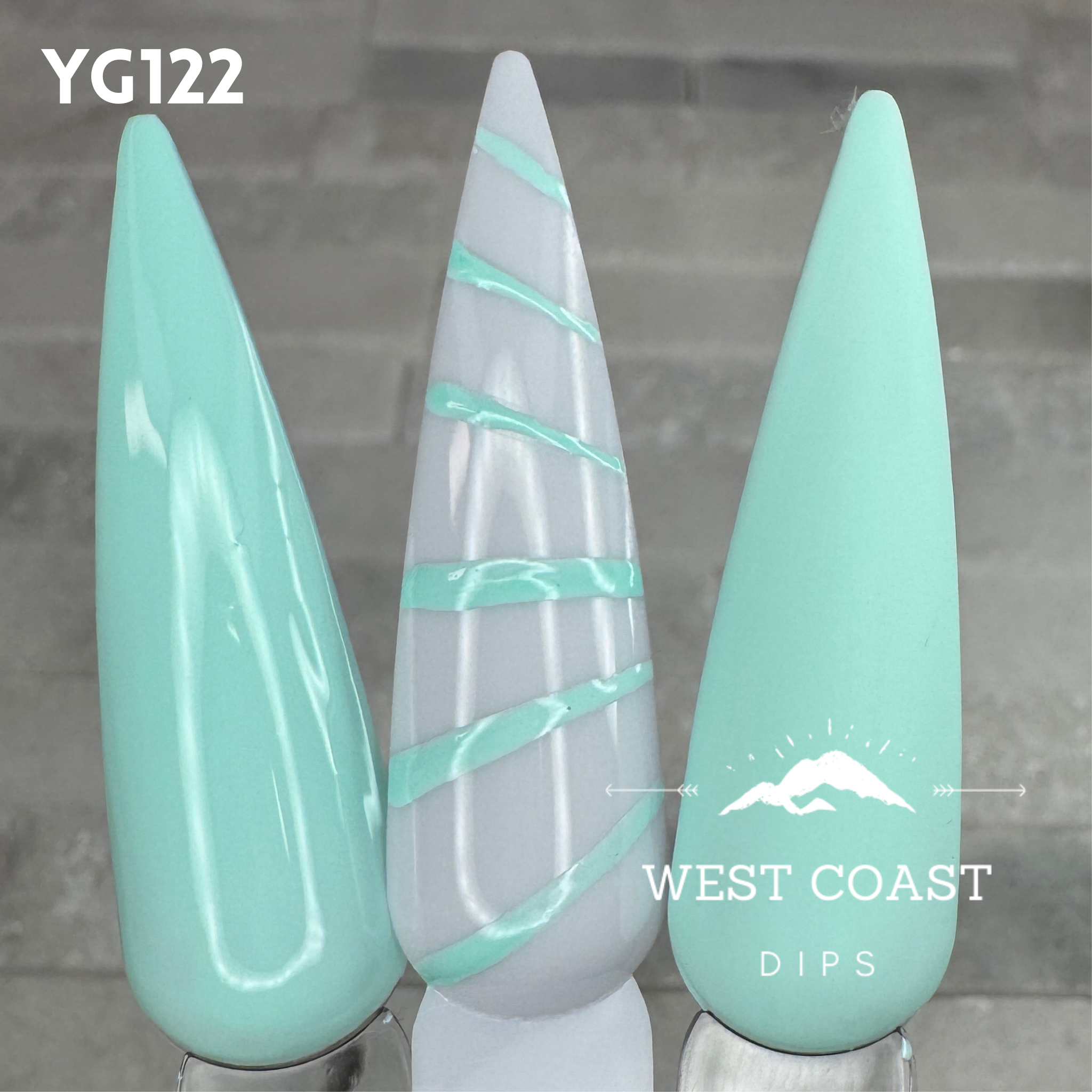 West Coast Dips Ultra Pigmented Fine Brush Nail Art Gel Liners