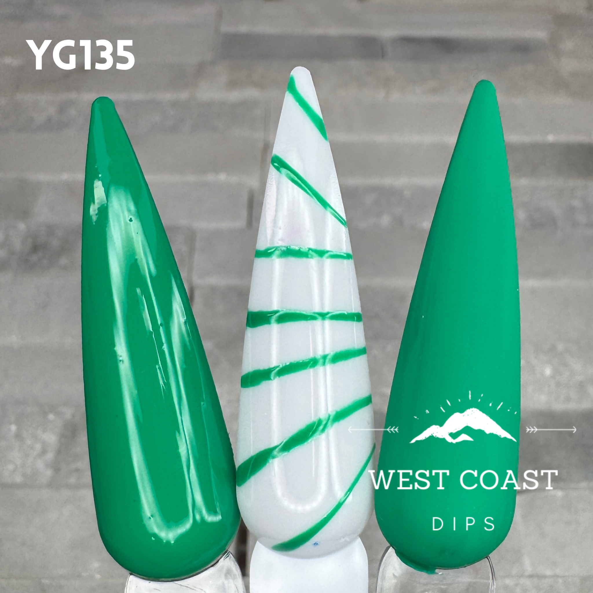 West Coast Dips Ultra Pigmented Fine Brush Nail Art Gel Liners