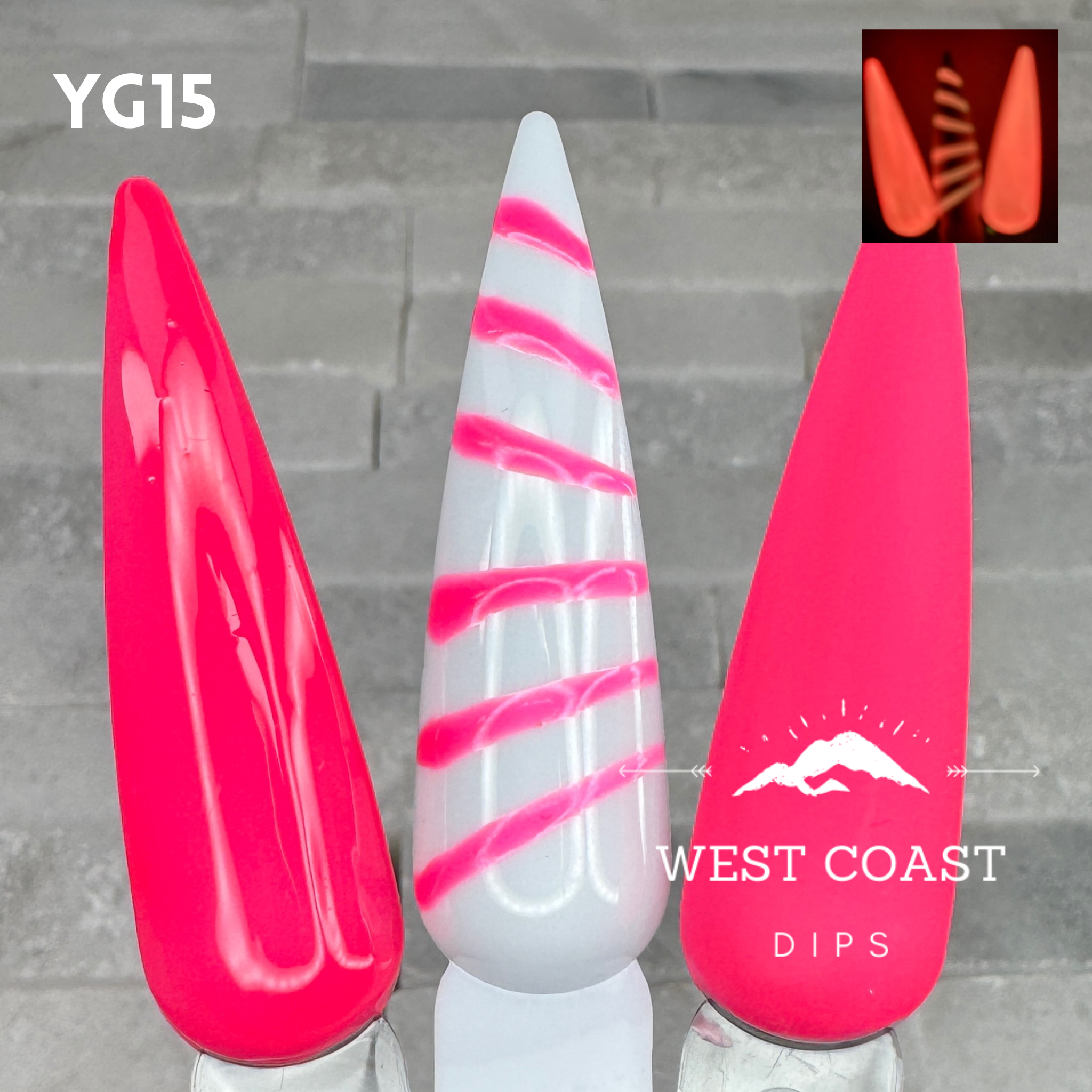 West Coast Dips Ultra Pigmented Fine Brush Nail Art Gel Liners