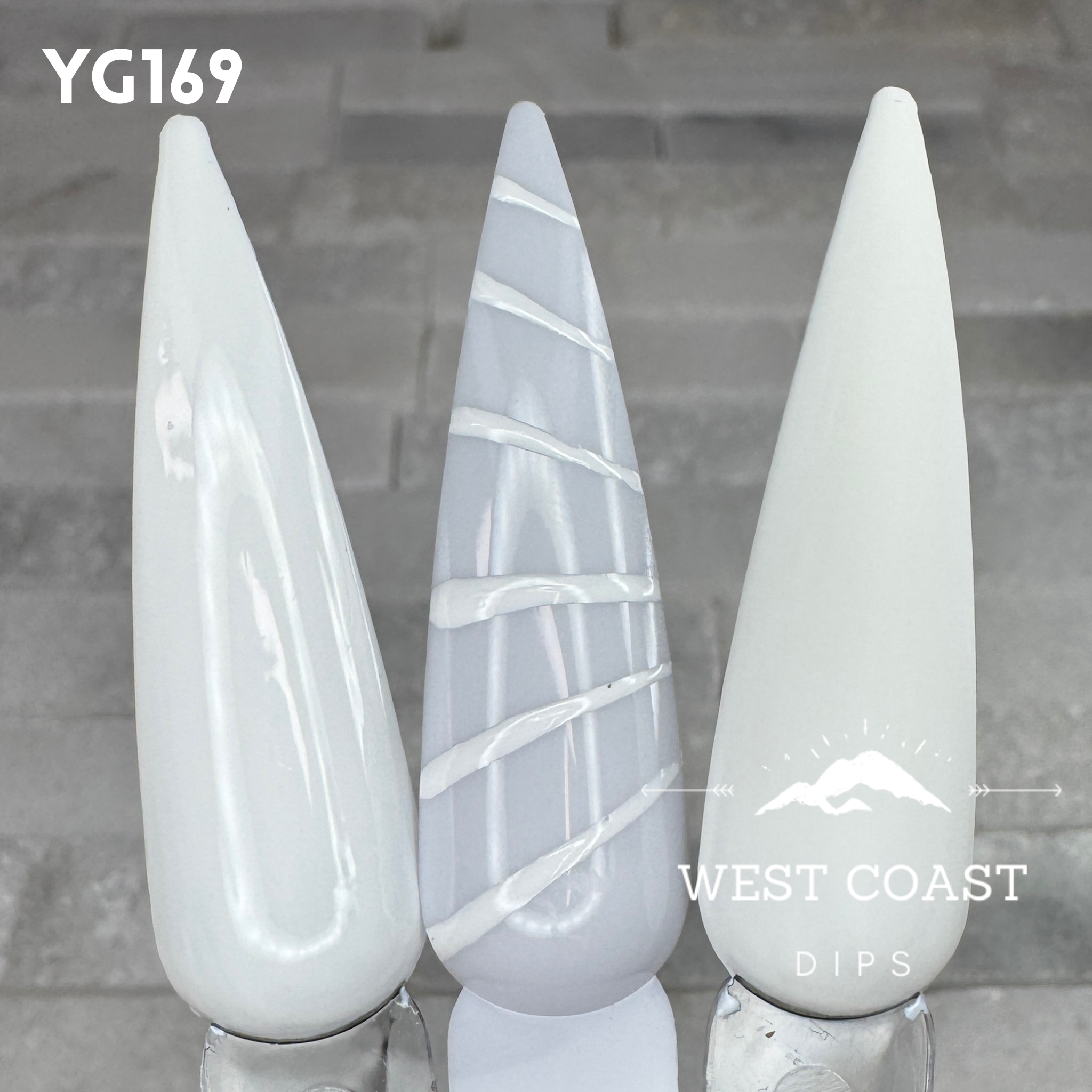 West Coast Dips Ultra Pigmented Fine Brush Nail Art Gel Liners