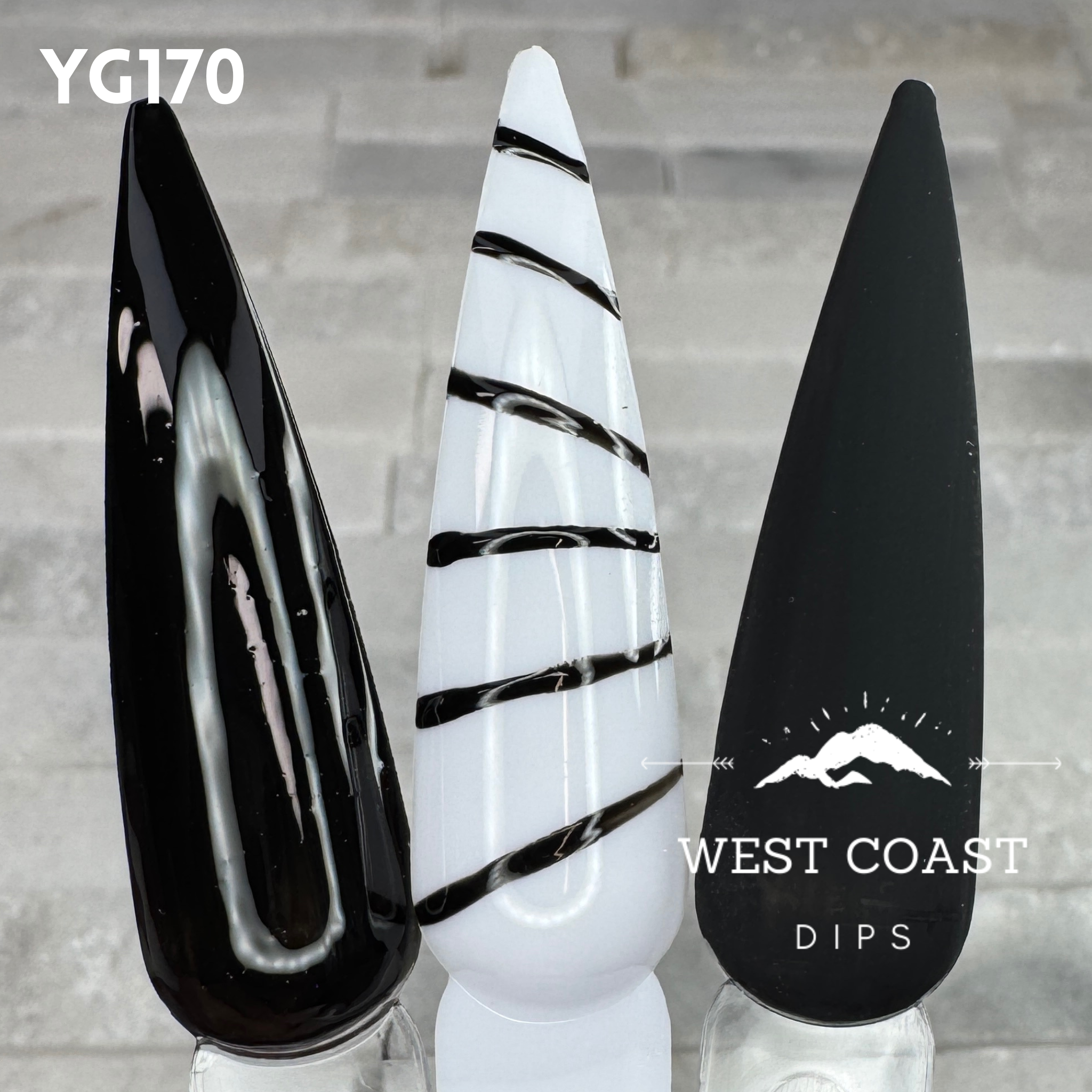 West Coast Dips Ultra Pigmented Fine Brush Nail Art Gel Liners