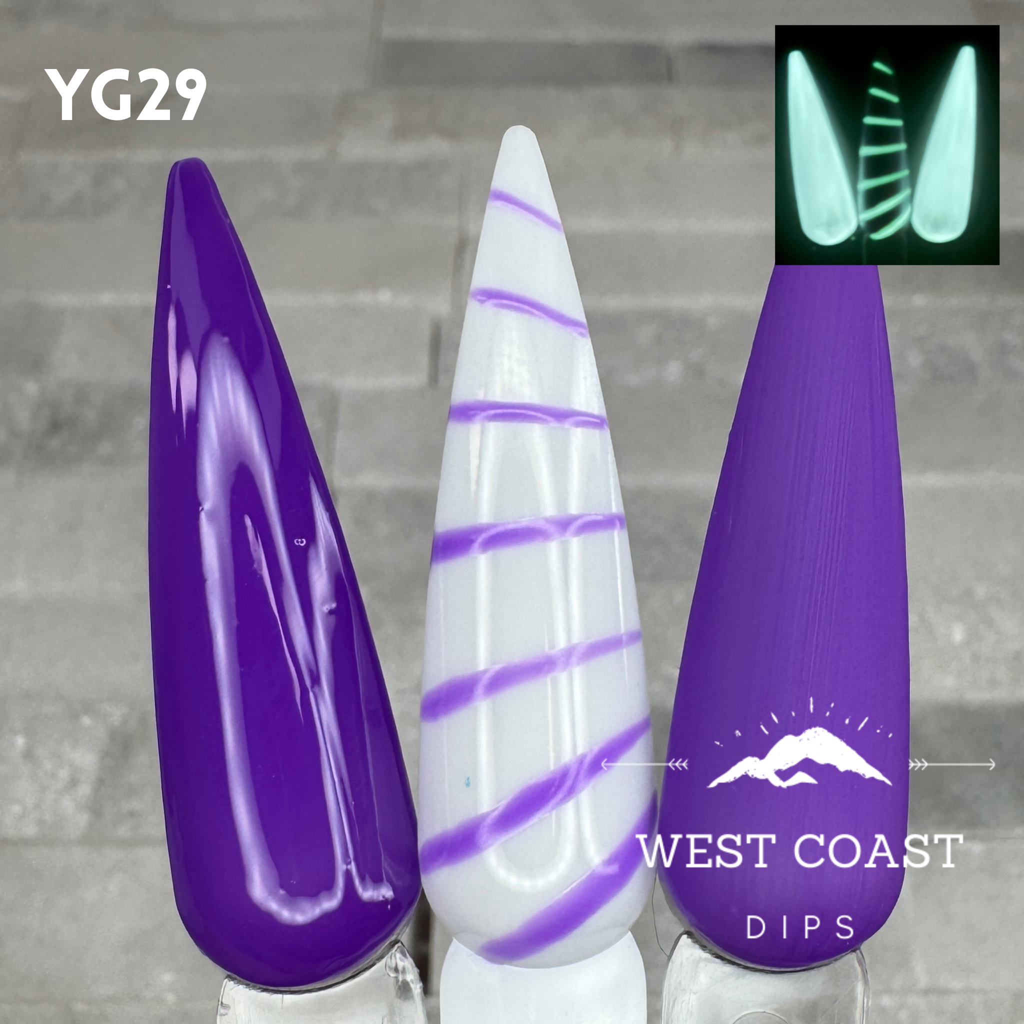 West Coast Dips Ultra Pigmented Fine Brush Nail Art Gel Liners