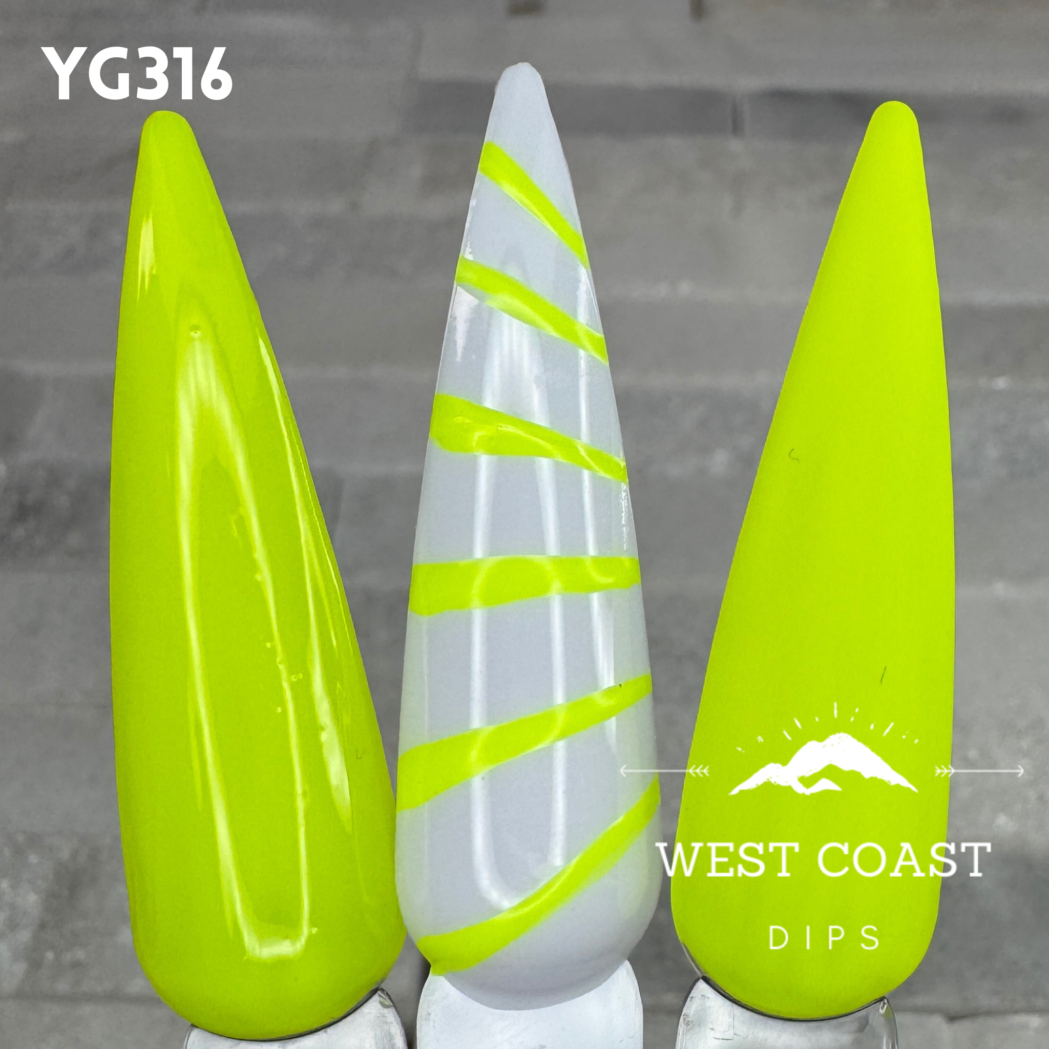West Coast Dips Ultra Pigmented Fine Brush Nail Art Gel Liners
