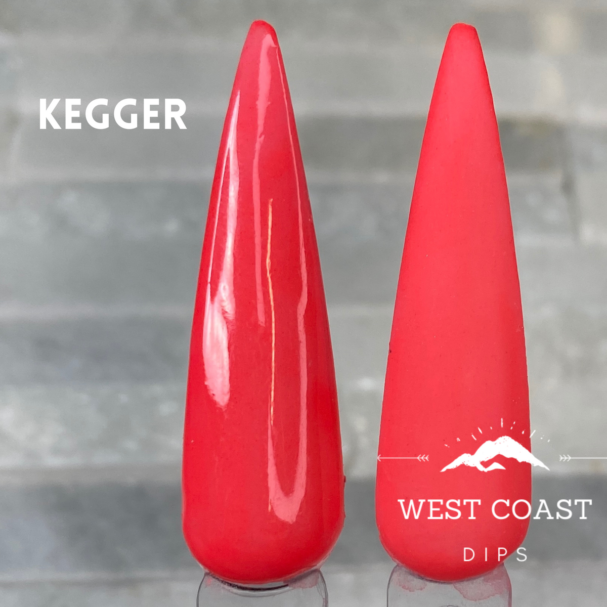 Partytime & Kegger Dip Duo West Coast Dips