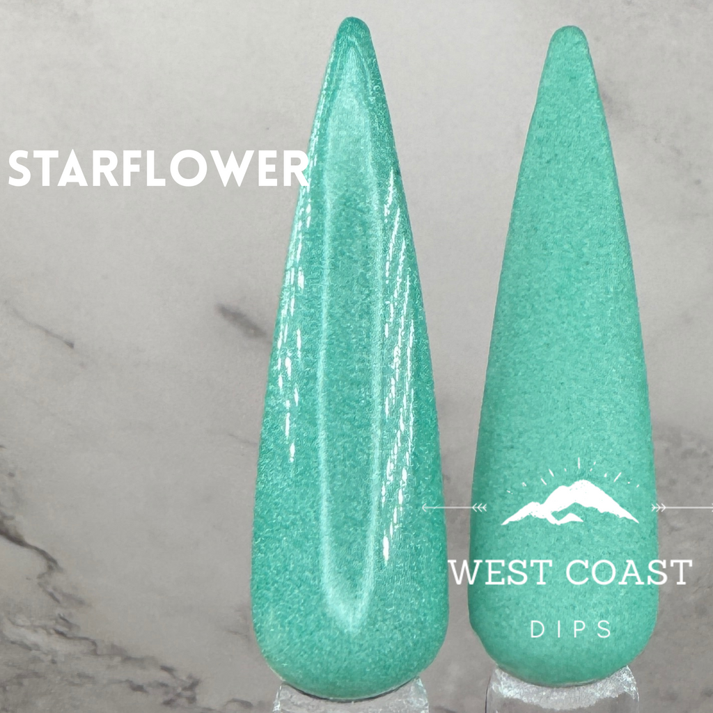 Starflower Dip