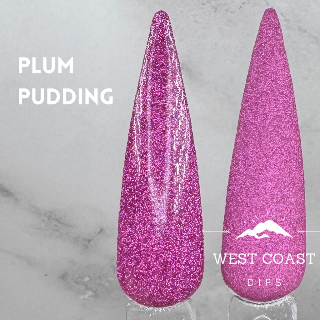 Plum Pudding Dip