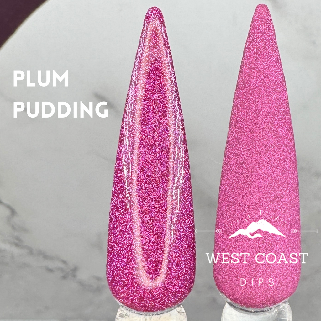 Plum Pudding Dip