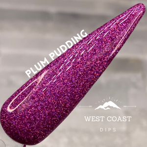 Plum Pudding Dip