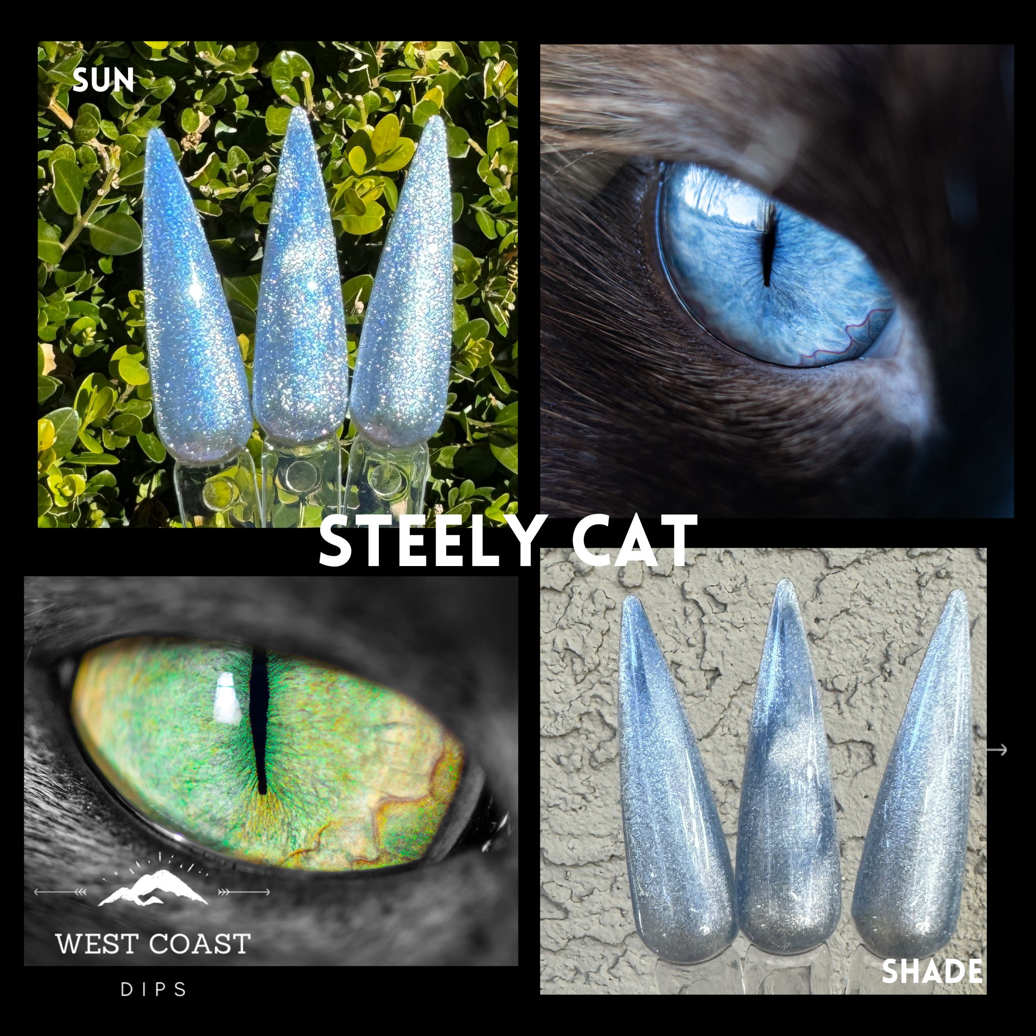 Steely Cat