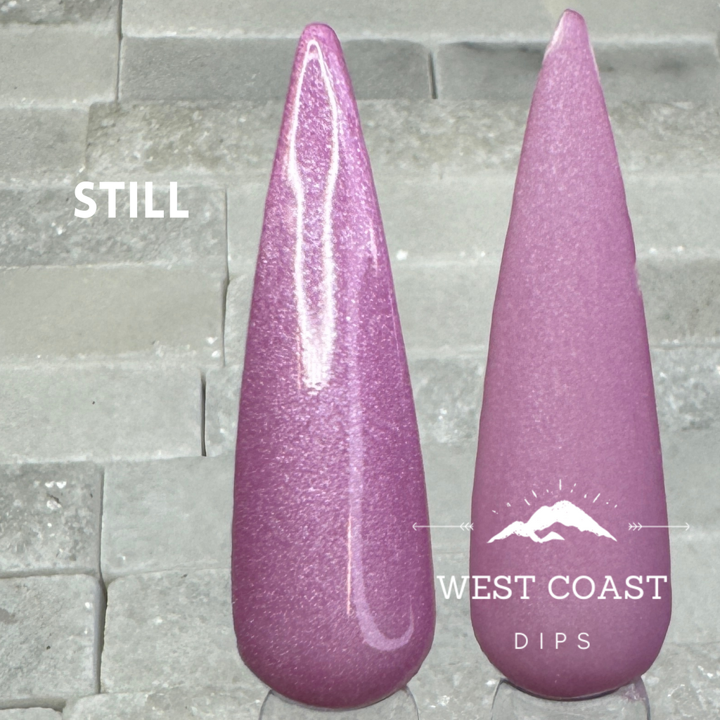 Still Dip