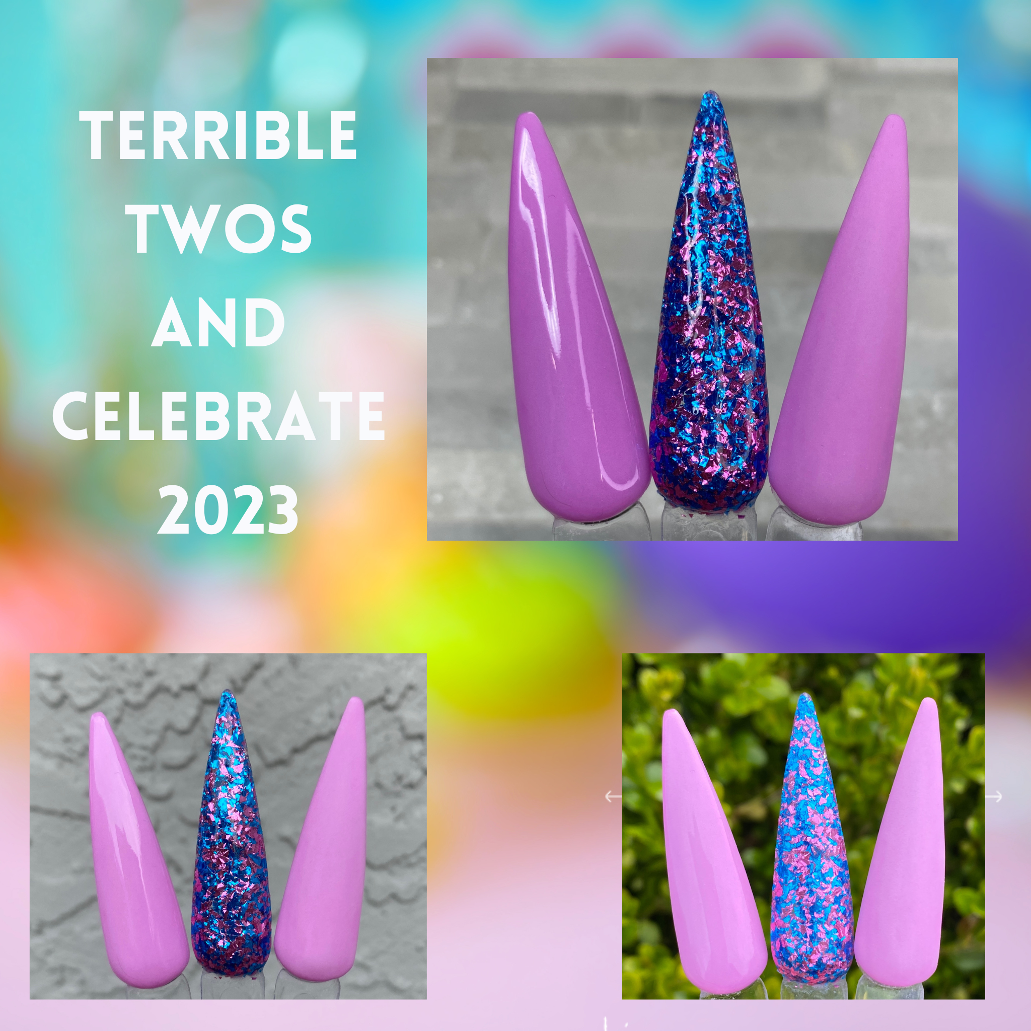 Celebrate 2023 Dip