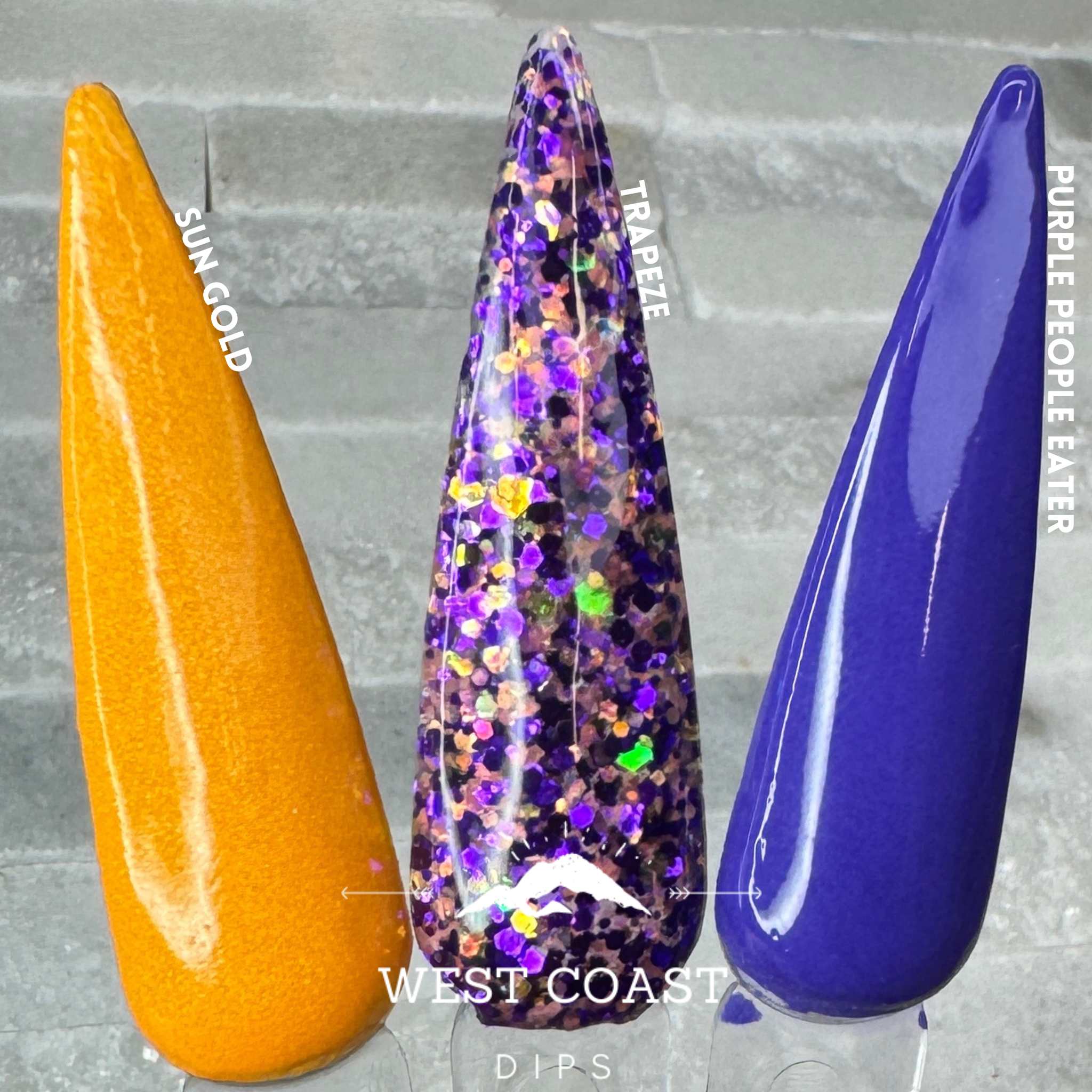 Trapeze Dip (Limited)