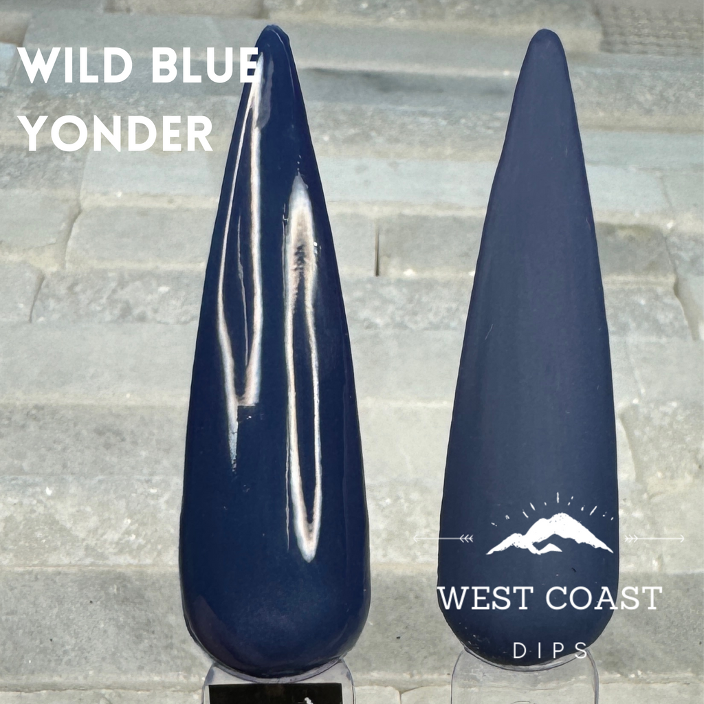 Wild Blue Yonder Dip