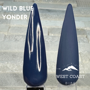 Wild Blue Yonder Dip