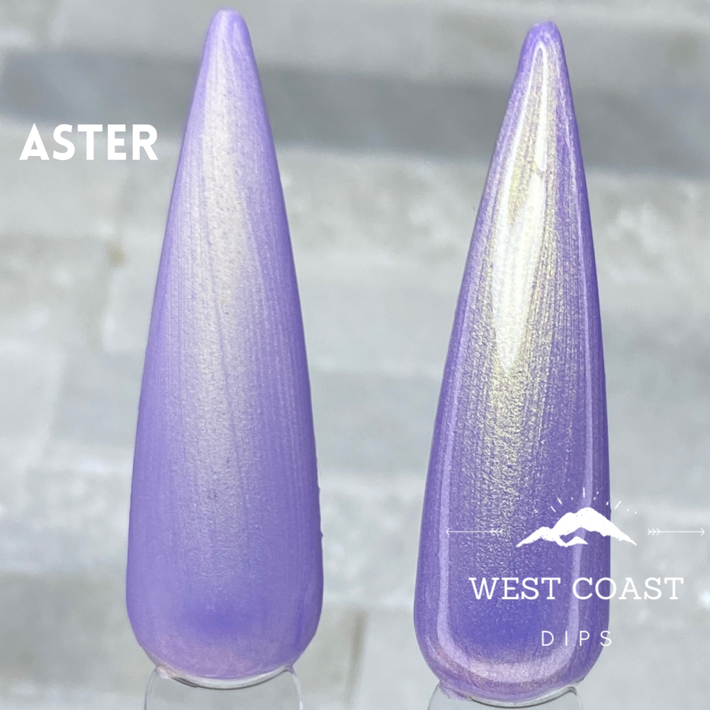 Aster