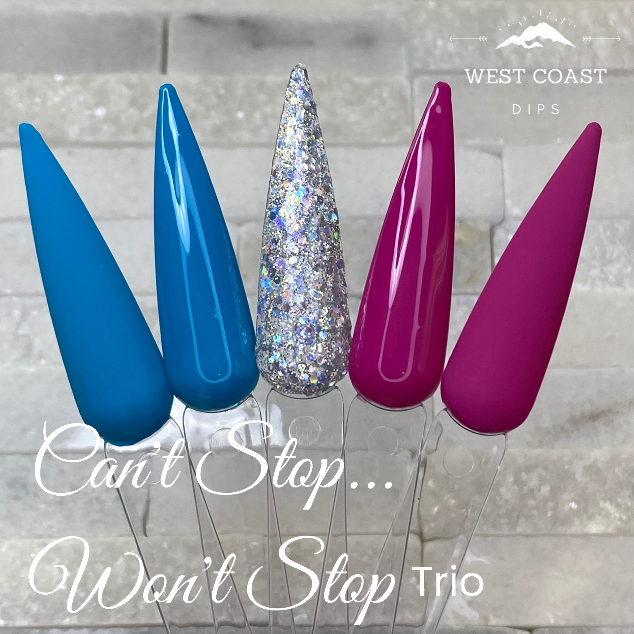 Pudding Gel – West Coast Dips