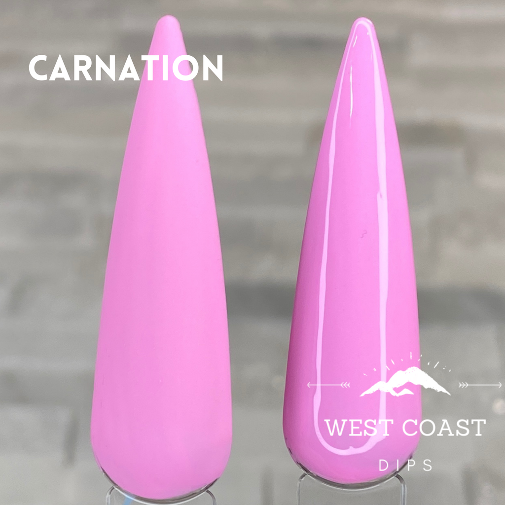 Carnation