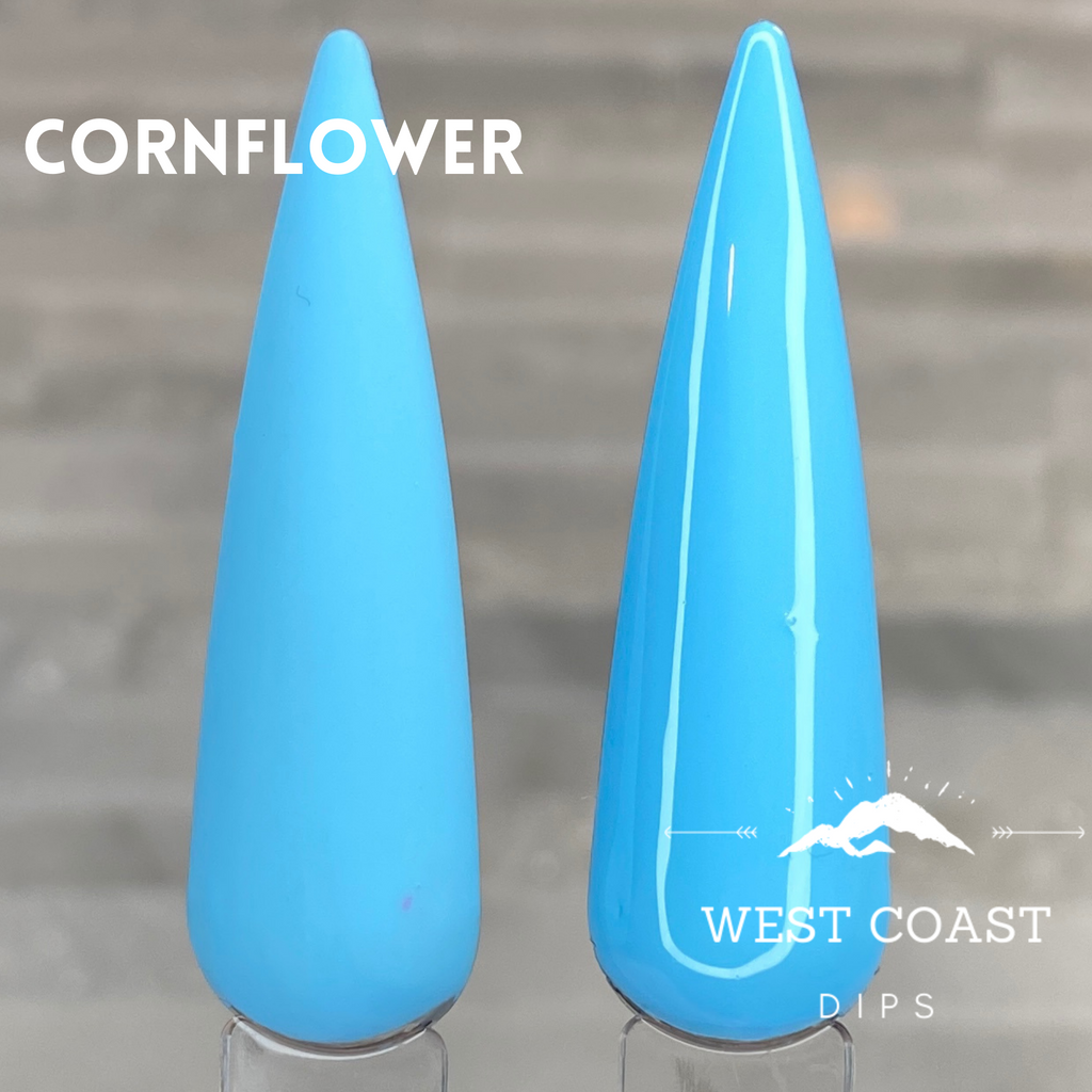 Cornflower