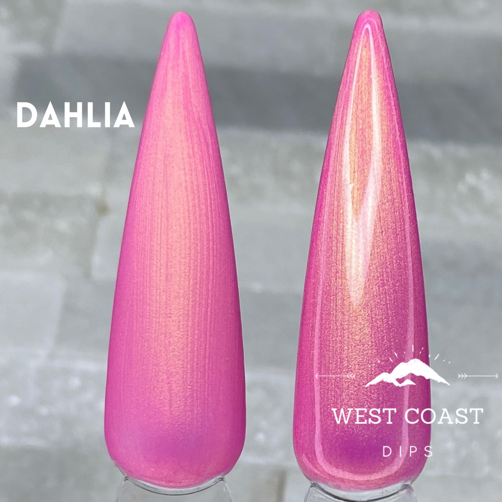 Dahlia