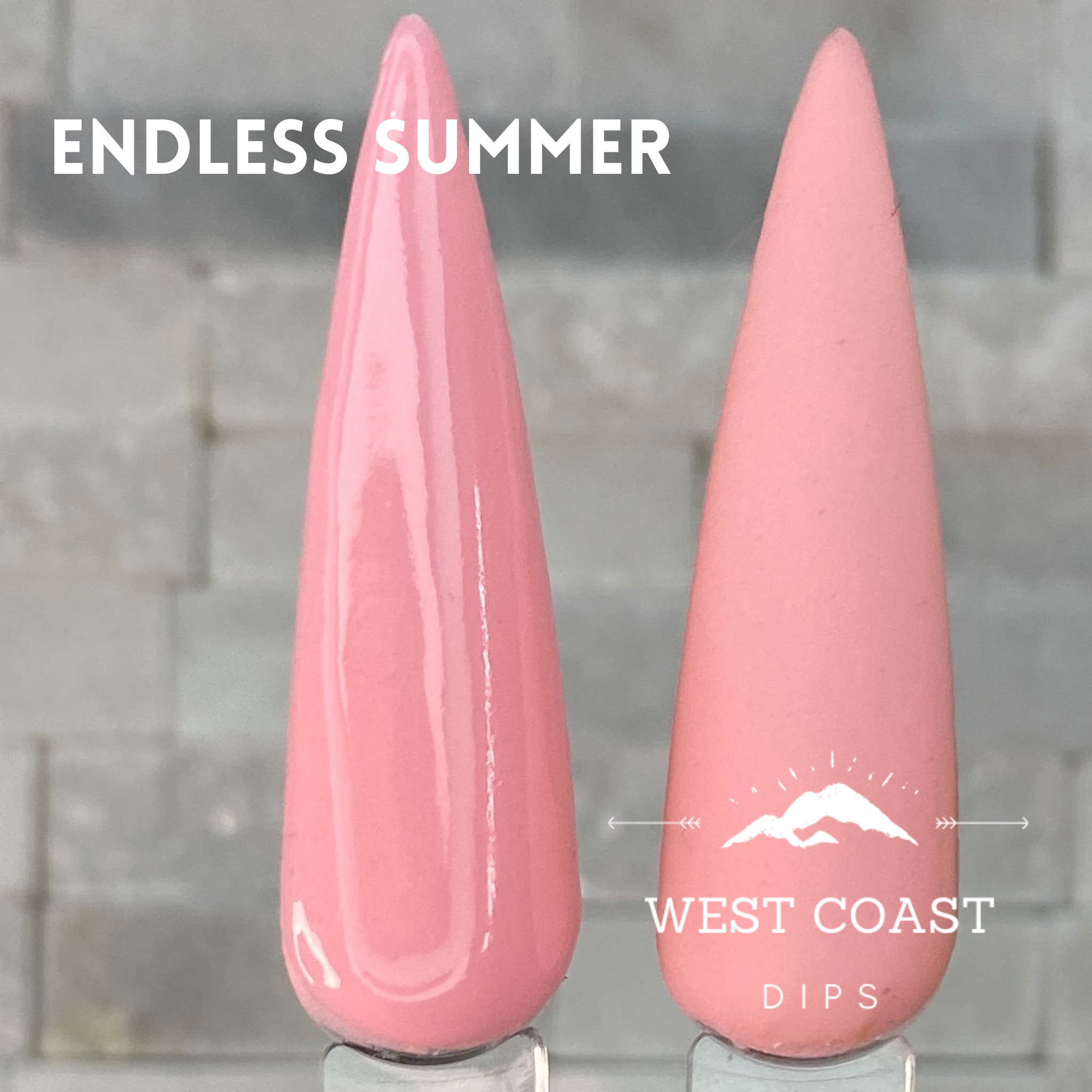 Endless Summer Collection