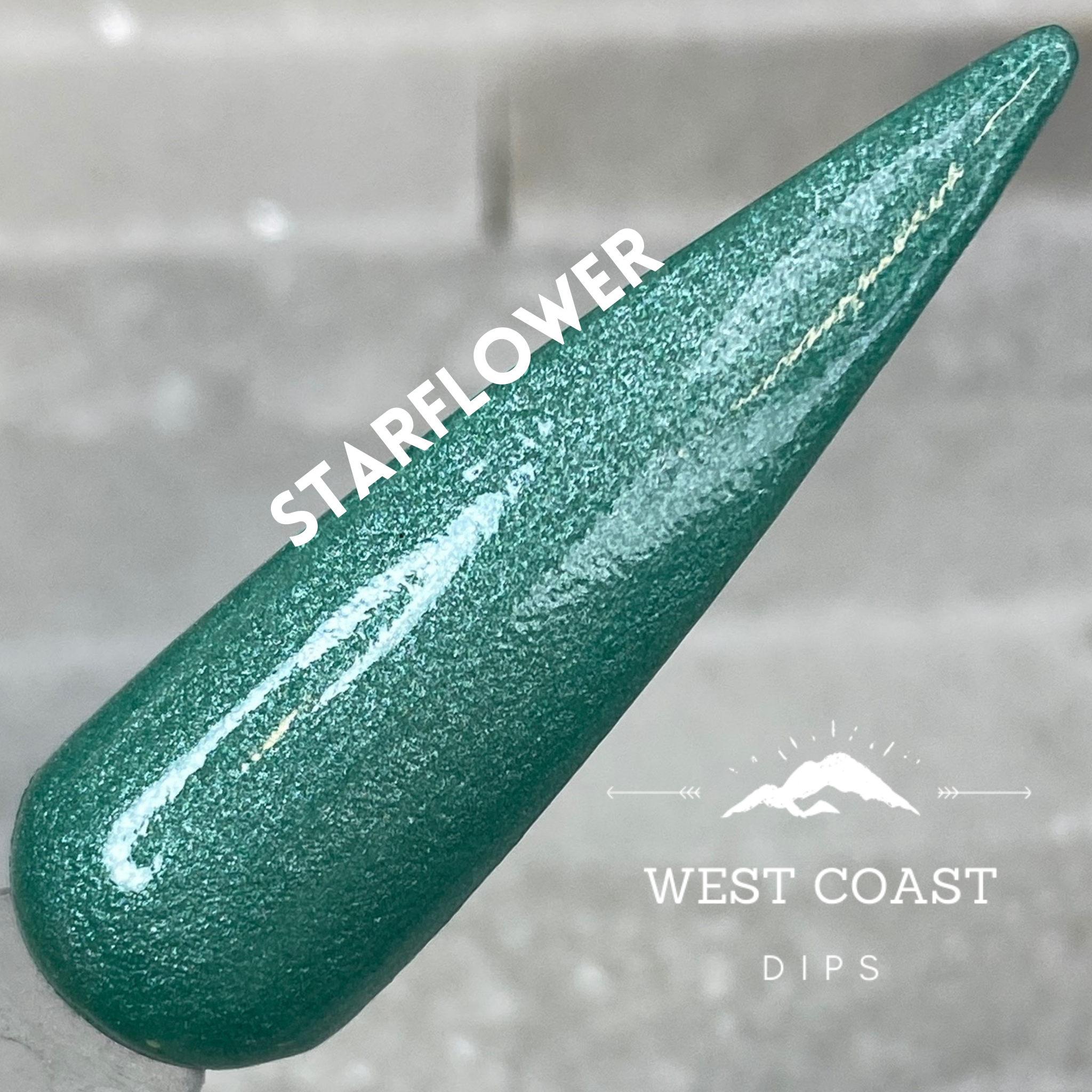 Starflower Dip