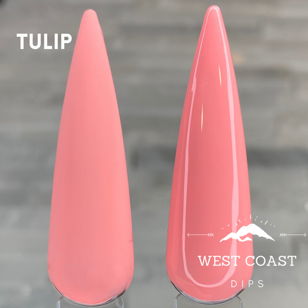 Tulip