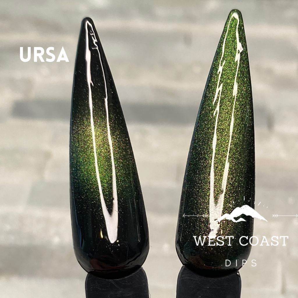 Ursa